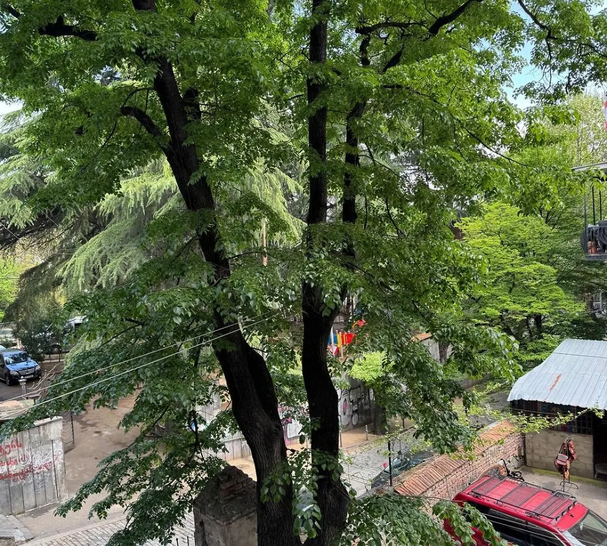Cozy Apartment In Old Town Tbilisi
